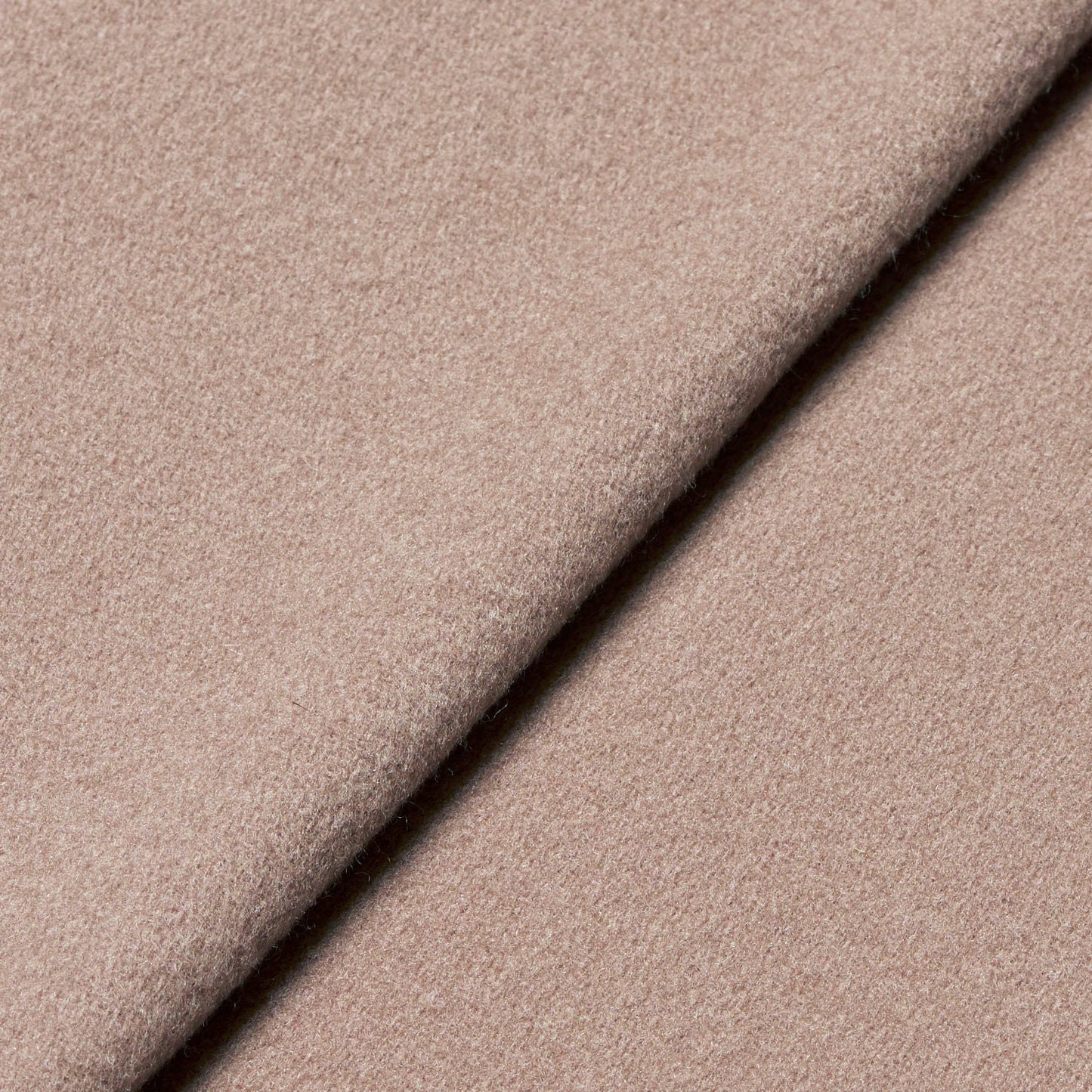 生地別注:15621_RL_PV